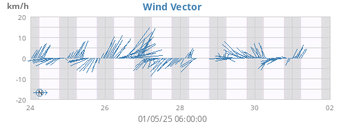 Wind Vector